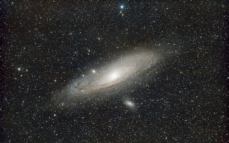 Stardust Soup